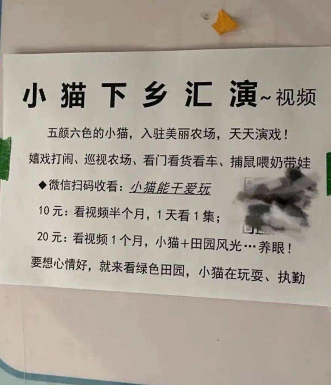全網(wǎng)追蹤的“賣貓片”可疑廣告<strong></p>
<p>鋼筋網(wǎng)片
</strong>，結(jié)果出人意料:鋼筋網(wǎng)片
