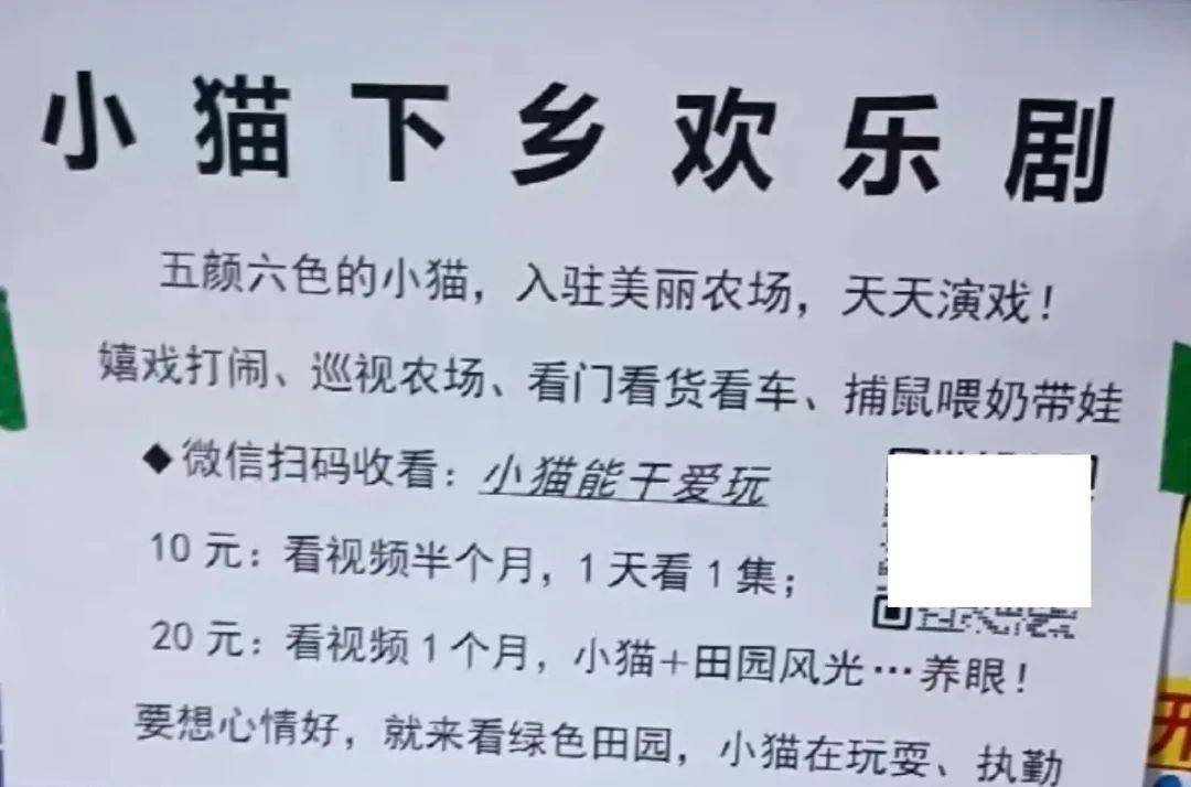 全網(wǎng)追蹤的“賣貓片”可疑廣告<strong></p>
<p>鋼筋網(wǎng)片
</strong>，結(jié)果出人意料:鋼筋網(wǎng)片
