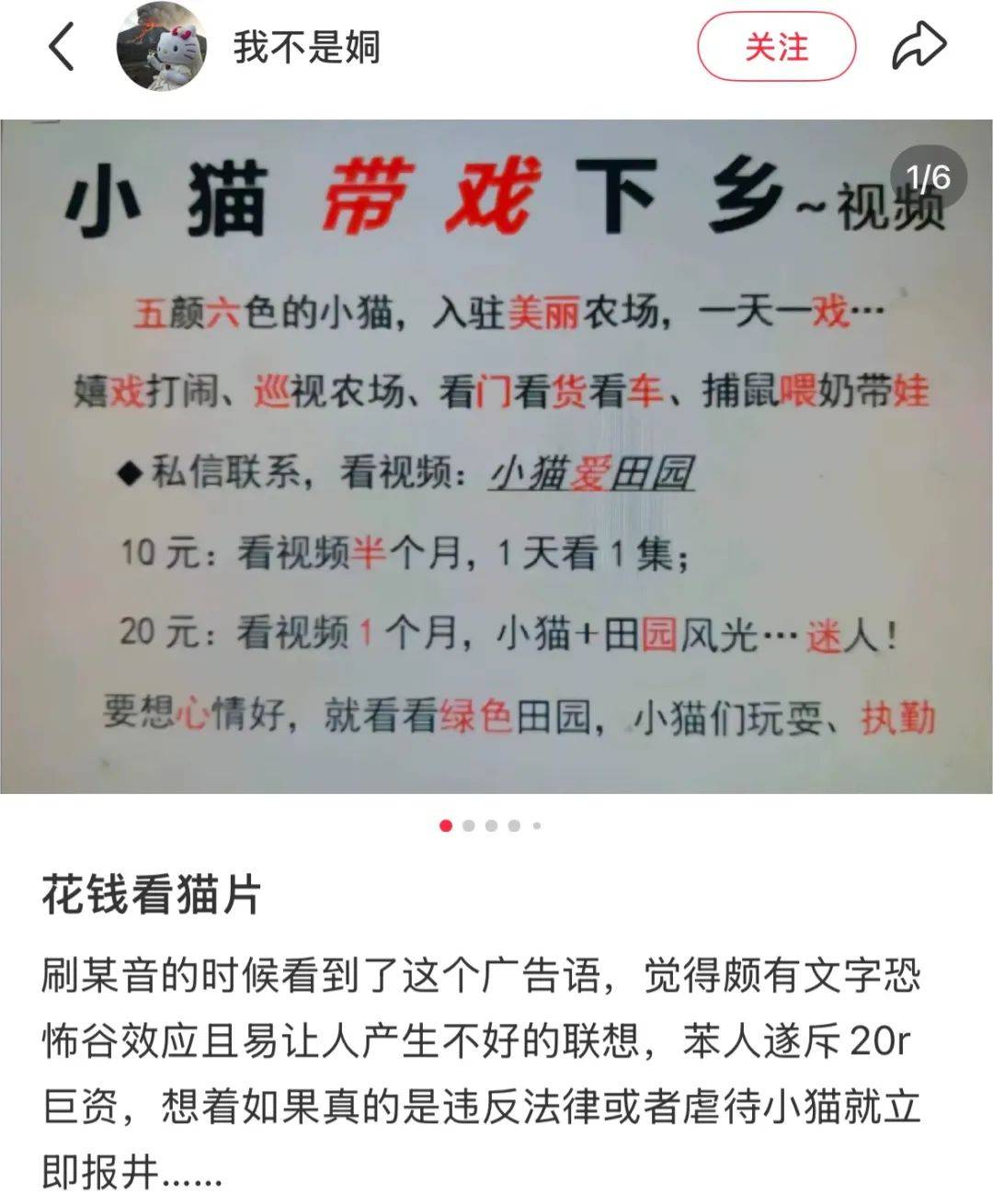 全網(wǎng)追蹤的“賣貓片”可疑廣告<strong></p>
<p>鋼筋網(wǎng)片
</strong>，結(jié)果出人意料:鋼筋網(wǎng)片
