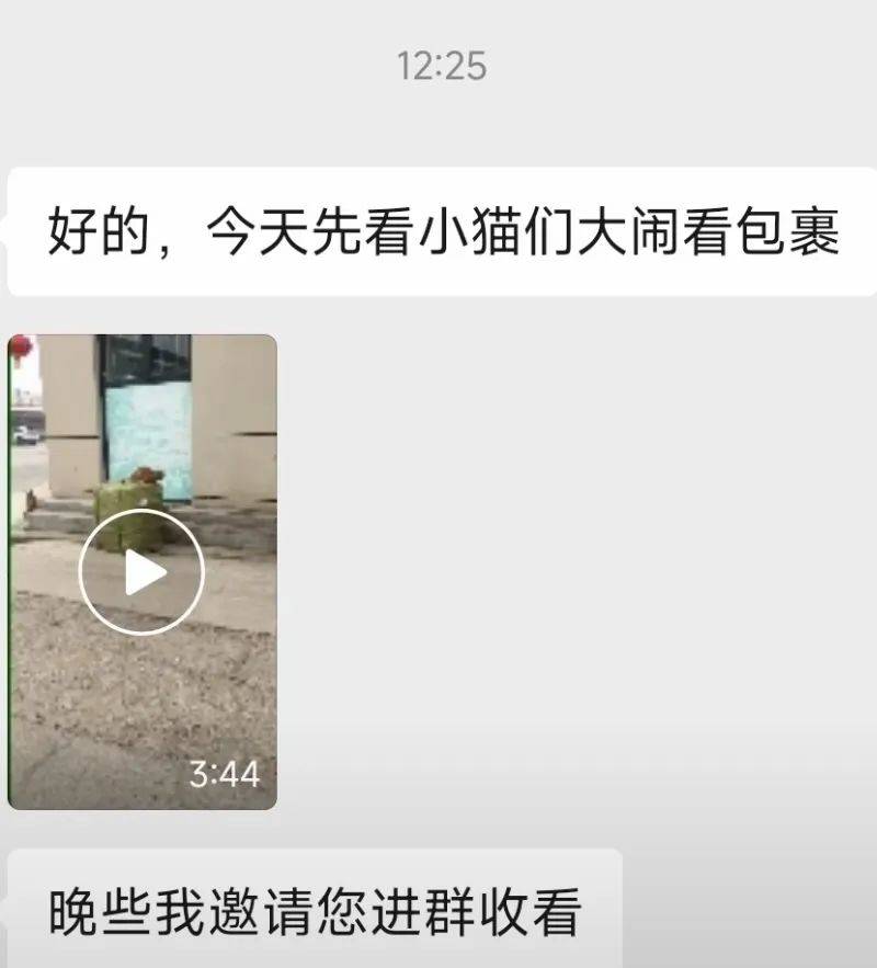 全網(wǎng)追蹤的“賣貓片”可疑廣告<strong></p>
<p>鋼筋網(wǎng)片
</strong>，結(jié)果出人意料:鋼筋網(wǎng)片
