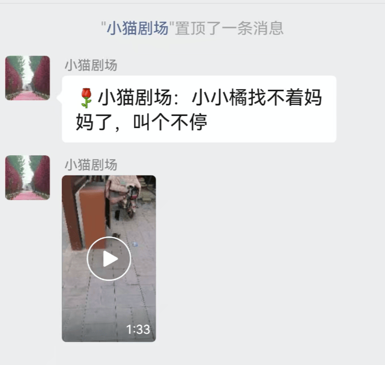 全網(wǎng)追蹤的“賣貓片”可疑廣告<strong></p>
<p>鋼筋網(wǎng)片
</strong>，結(jié)果出人意料:鋼筋網(wǎng)片
